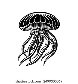 Jellyfish vector on white background
