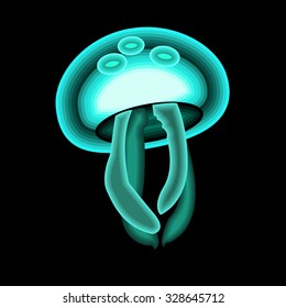 jellyfish vector sea water ocean blue underwater marine nature