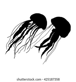 jellyfish vector sea water ocean blue underwater marine nature