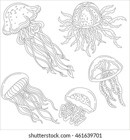 Jellyfish, vector sketch