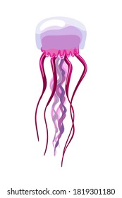 Jellyfish vector stock cartoon illustration isolated on white background. Icon of colorful sea medusa.