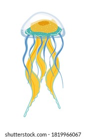 Jellyfish vector stock cartoon illustration isolated on white background. Icon of colorful sea medusa.