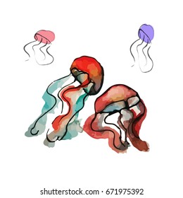 Jellyfish vector in watercolor