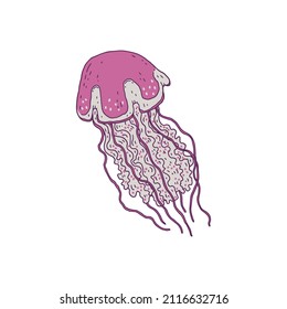 Jellyfish. Vector wild ocean animal underwater life doodle line isolated illustration.
