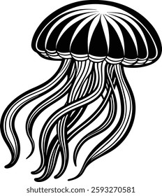 jellyfish, white, back, ground, Image, Art, Eps File