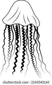 jellyfish white and black design, jellyfish drawing, jellyfish