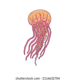 Jellyfish yellow. Vector wild ocean animal underwater life doodle line isolated illustration.