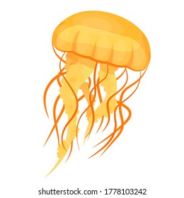 Jellyfishes or medusae yellow. Underwater animal, free-swimming marine creature with umbrella shaped bell, tentacles. Ocean, sea travel, summer vacation. Vector cartoon jellyfish isolated on white.