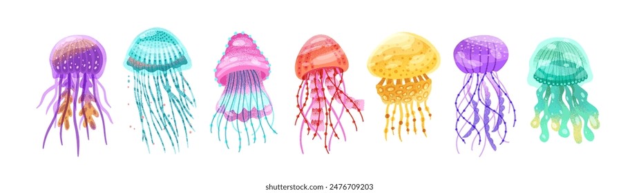 Jellyfishes set. Medusa floating. Marine underwater invertebrate animals, jelly fishes. Aquatic sea and ocean fauna with gelatinous bridles. Flat vector illustration isolated on white background