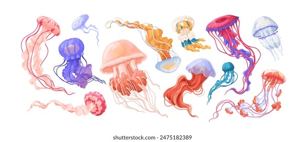 Jellyfishes set. Underwater marine jelly fishes species. Undersea animals, medusa. Sea water invertebrates with dangerous tails, tentacles. Flat vector illustration isolated on white background