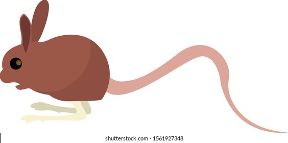 Jerboa, illustration, vector on white background.