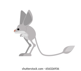 Jerboa isolated. Steppe animal on white background