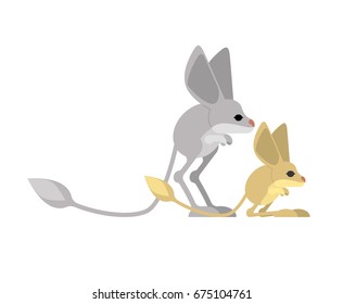 Jerboa isolated. Steppe animal on white background