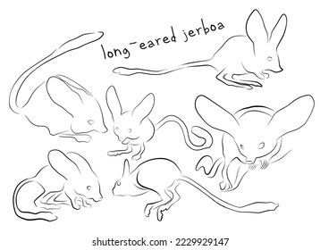 Jerboa-Konturgrafik-Vektorgrafik