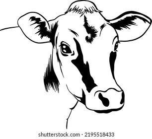 Jersey Cow Heifer drawing vector, black lines