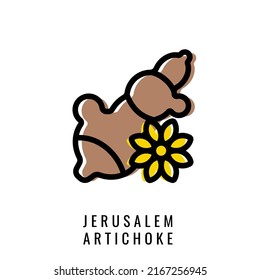 Jerusalem Artichoke color Icon. Vector illustration Sunflower root in Line style. Isolated Topinambur Logo. Stylish solution for app or website.