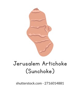 Jerusalém Alcachofra (Sunchoke) Ilustração Vetorial. Jerusalém Alcachofra ou Sunchoke Cartoon Clipart, Vegetal em Estilo Plano. Também chamado de Raiz do Sol ou Helianthus tuberosus. Conceito de raiz vegetal