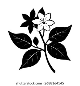 jessamine flower silhouette vector on white background
