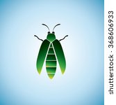 Jewel beetle