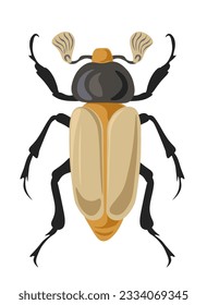 Jewel scarabs or Chrysina bug, isolated insect species and biodiversity of nature and wilderness. Beetle with golden body, legs and antennae. Zoology and creatures. Vector in flat style illustration