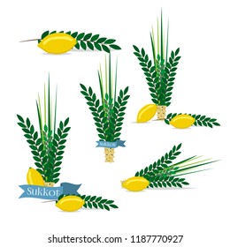 Jewish festival of Sukkot traditional symbols judaism religion festival citrus willow vector illustration. Citron leaf lemon succot festive fruit culture.