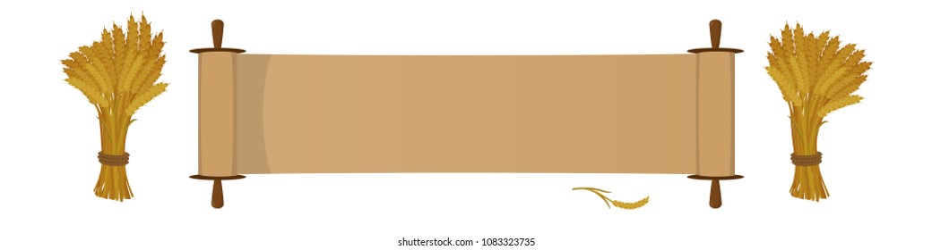 Jewish holiday greeting banner. Scroll and sheaves of wheat on white background. Cartoon style.