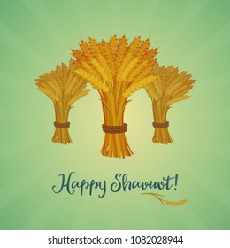 Jewish holiday greeting card. Sheaves of wheat with greeting inscription Happy Shavuot. Cartoon style.
