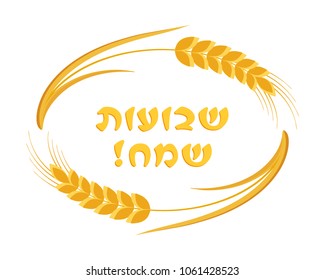 Jewish holiday of Shavuot, ears wheat oval frame, greeting inscription hebrew - Happy Shavuot, isolated on white background