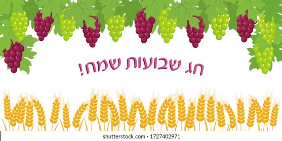 Jewish holiday of Shavuot, greeting banner with bunches of grapes, wheat ears, greeting inscription hebrew - Happy Shavuot