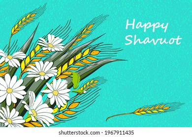 Jewish holiday Shavuot, Greeting card with  text "Happy Shavuot", yellow ears, spikelets, white daisy  on colorful  background, vector illustration