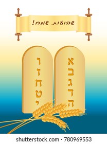 Jewish holiday of Shavuot, greeting card with tablets of stone, wheat ears and scroll with greeting inscription hebrew - Happy Shavuot