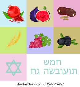 The Jewish holiday of Shavuot, the wheat ears, the words, the text is written in Hebrew. Stock vector. A set of icons for your holiday.