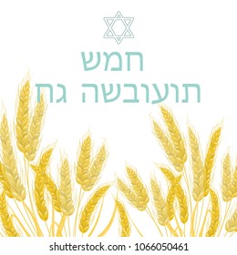 The Jewish holiday of Shavuot, the wheat ears. The text is written in Hebrew. Vector stock.