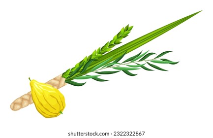 Jewish holiday Sukkot - Feast of Tabernacles or Festival of Ingathering.  Traditional symbols: etrog (citron), lulav (palm branch), hadas (myrtle), arava (willow). Palm leaves and lemon. Vector