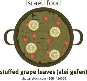 Jewish Israeli cuisine stuffed grape leaves (alei gefen), traditional meals, vector illustrated food