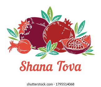 Jewish new year Rosh Hashanah composition with pomegranates. Title in Hebrew Have a good year. Hand drawn vector illustration