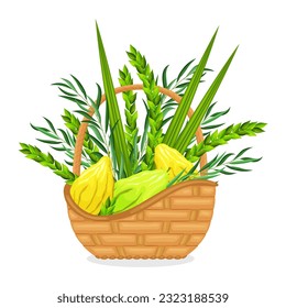 Jewish religious holiday Sukkot - Feast of Tabernacles or Festival of Ingathering. Wicker basket with traditional symbols of the Judaic festival is etrog, lulav, hadas, arava. Plant branches and lemon