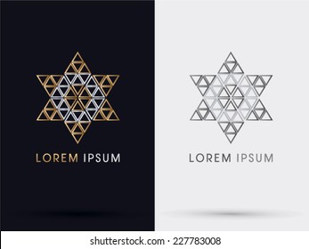 Jewish Star Israel,vector.