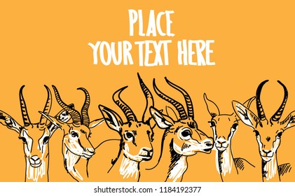 Jeyran. African animals. Background with antelope. Drawing by hand, place for text.