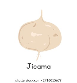 Jicama, flache Cartoon-Vektorgrafik einzeln auf weißem Hintergrund