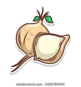 Jicama fruit cartoon doodle hand draw illustration art