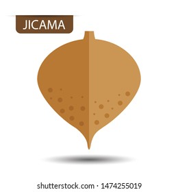Jicama, fruit on white background. Flat design style. vector illustration.