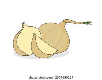 Jicama fruit vector design latest version. Jicama root. Art illustration on white background. Can be used for label templates, packing, web, menu, logo, stickers or icon product. Bengkoang, bengkuang