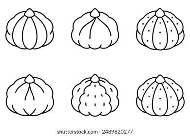 Jicama line art sketch elegant simplicity