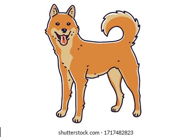 16+ Jindo Korean Hunting Dog Background