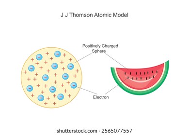 J.J. Thomsons atomic model, called the plum pudding model, depicts an atom as a sphere of positive charge with embedded negative electrons.