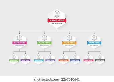 Job position classification graph chart design with colorful hexagon shapes. Data analysis and presentation template vector for office management. Business position visualization infographic vector.