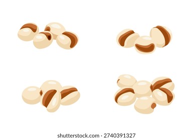  Job's tears vector logo isolated on white background.