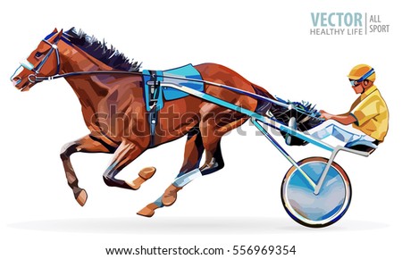 Jockey And Horse Champion Racing Hippodrome Steed Coming First To Finish