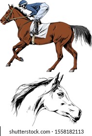 jockey on a galloping horse painted with ink by hand